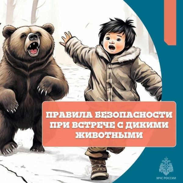 Правила безопасности при встрече с дикими животными (от 13.05.2024)