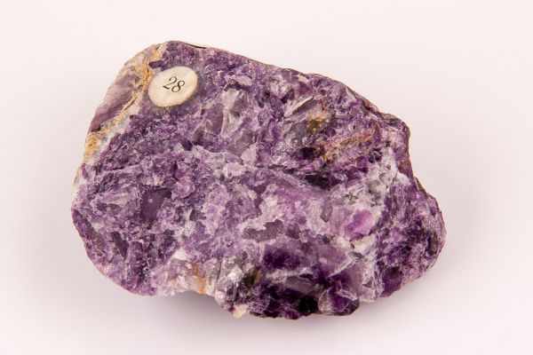 Международный день гор