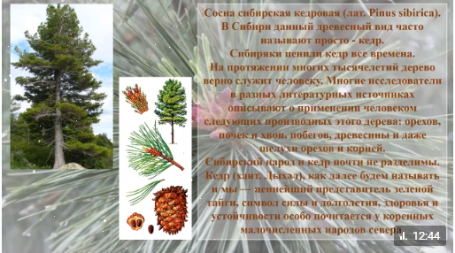 ВОЗРОЖДЕНИЕ ЗАБЫТЫХ ТЕХНОЛОГИЙ