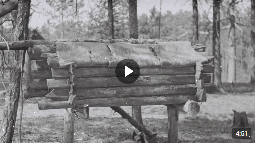 Экскурсия в МЭиЭП "Югра" (в рамках дня округа)