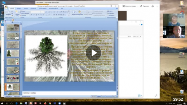 Методическое пособие «Вторая жизнь дерева. Технология изготовления кедровой сарги. Из серии «Советы мастера»