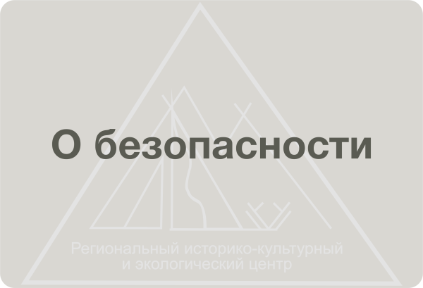 Криминальная субкультура