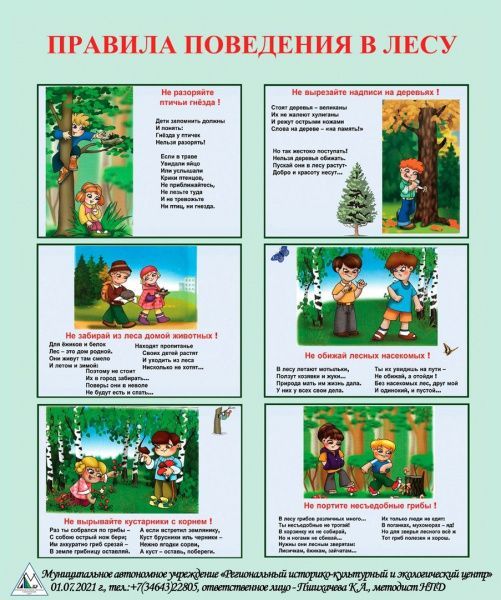 Правила поведения по безопасности в лесу (от 10.08.2022)